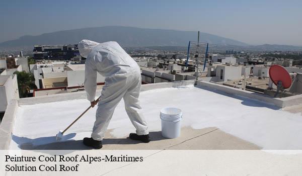 Peinture Cool Roof 06 Alpes-Maritimes Solution Cool Roof